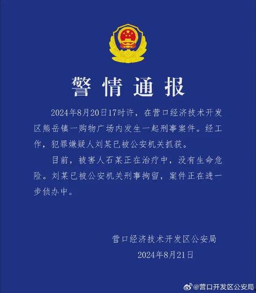 辽宁热点爆料事件最新情况,真相揭晓，影响深远  第1张